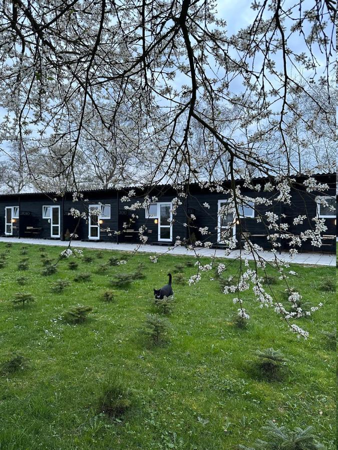 Klokkehoj Bed & Breakfast Ullerslev Dış mekan fotoğraf